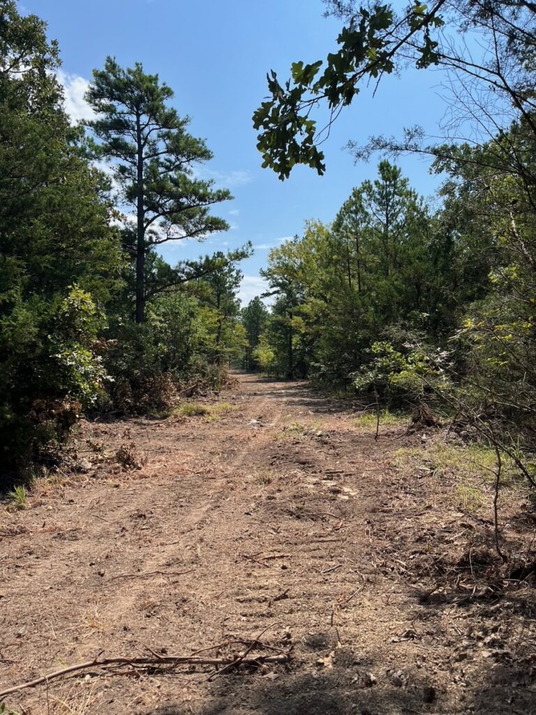 Property photo for land for sale in Pushmataha County Oklahoma
