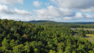 Property photo for land for sale in Penobscot County Maine