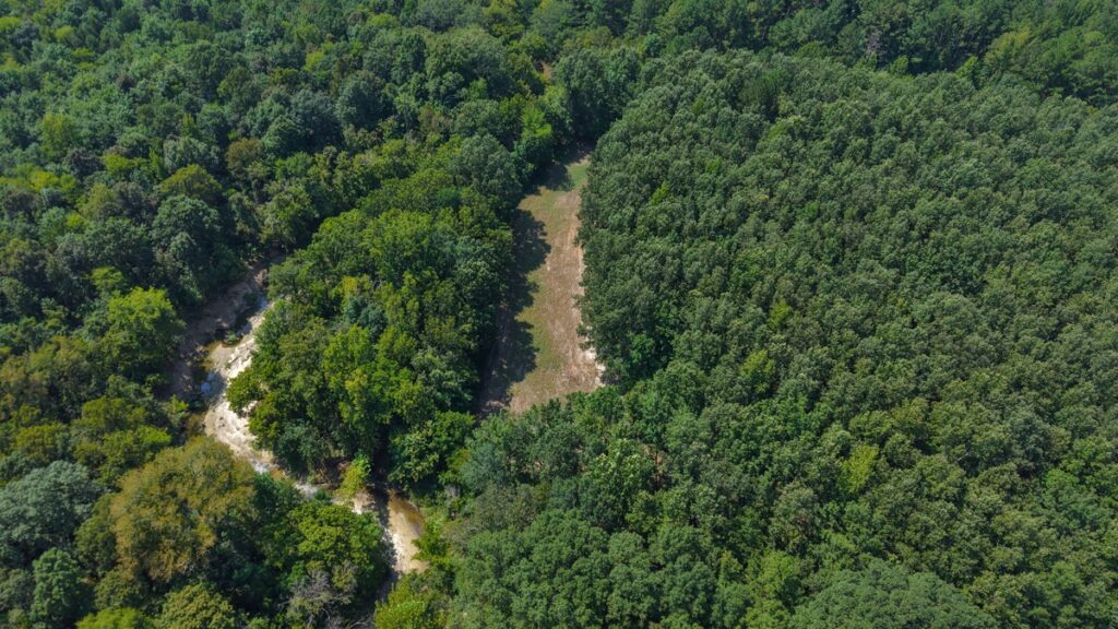 Property photo for land for sale in Marengo County Alabama
