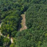 Property photo for land for sale in Marengo County Alabama