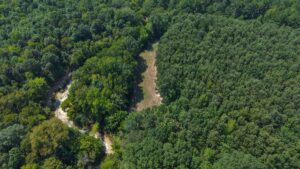 Property photo for land for sale in Marengo County Alabama