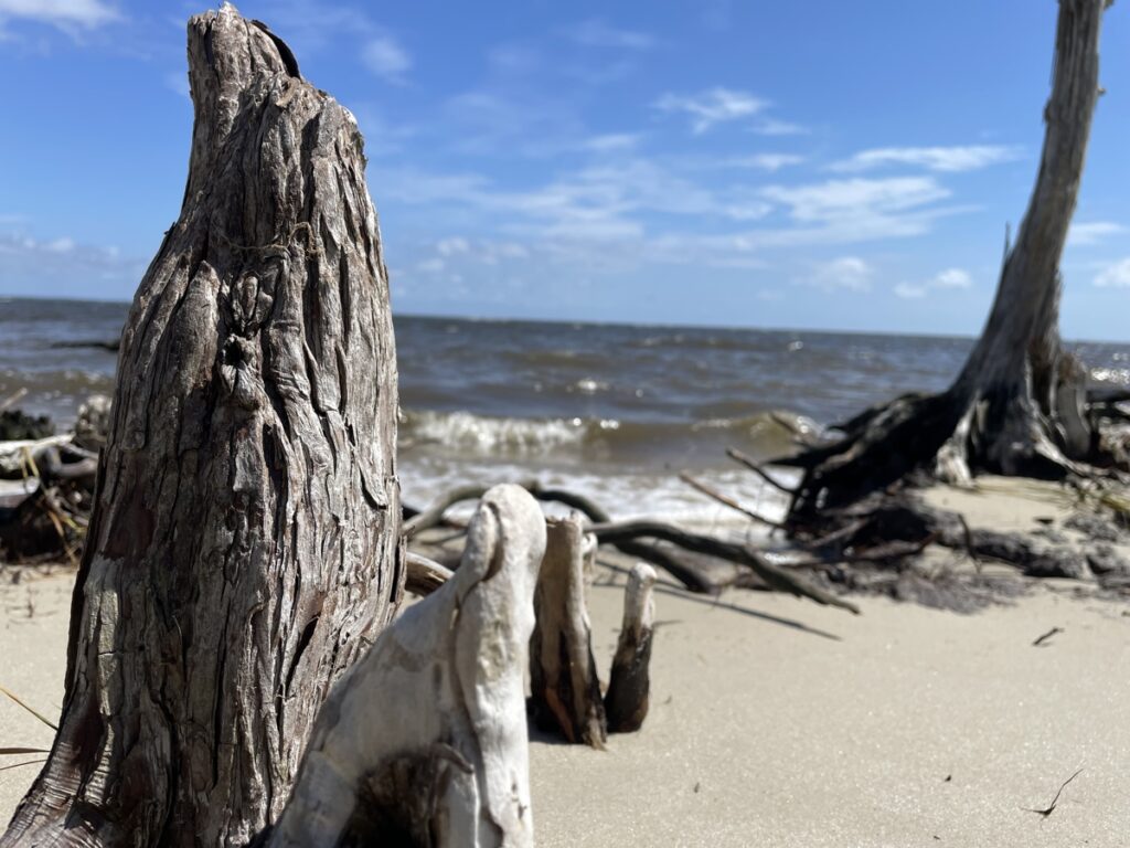 Property photo for land for sale in Carteret County North Carolina