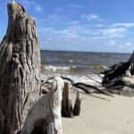 Property photo for land for sale in Carteret County North Carolina