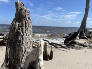 Property photo for land for sale in Carteret County North Carolina