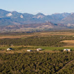 Property photo for land for sale in Delta County Colorado