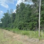 Property photo for land for sale in Lincoln County Louisiana