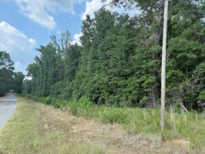 Property photo for land for sale in Lincoln County Louisiana