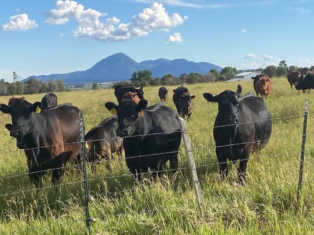 Property photo for land for sale in Montezuma County Colorado