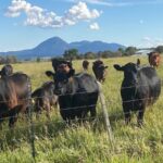 Property photo for land for sale in Montezuma County Colorado