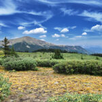 Land Prices in Colorado