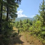 Property photo for land for sale in Le Flore County Oklahoma