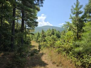 Property photo for land for sale in Le Flore County Oklahoma