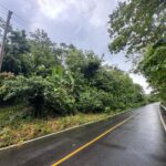 Property photo for land for sale in  County Panama