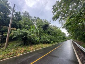 Property photo for land for sale in  County Panama