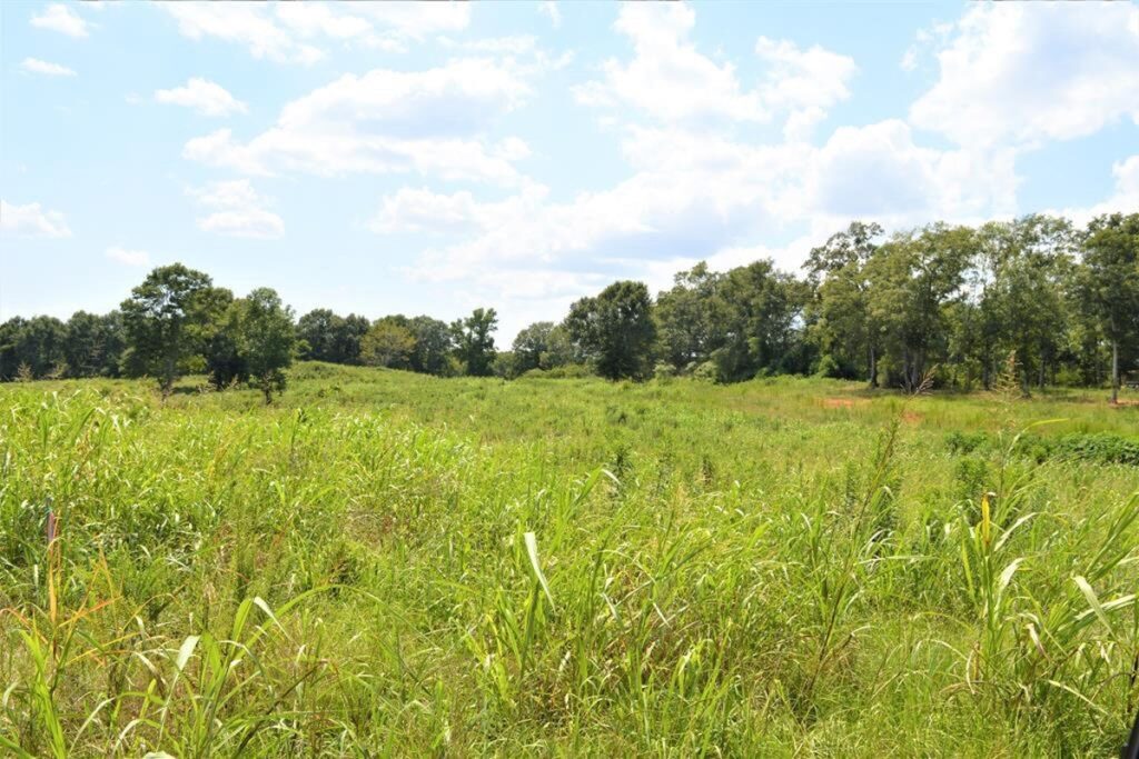 Property photo for land for sale in Pike County Mississippi