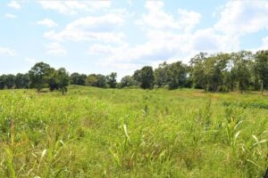Property photo for land for sale in Pike County Mississippi