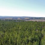 Property photo for land for sale in Sequatchie County Tennessee