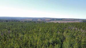 Property photo for land for sale in Sequatchie County Tennessee