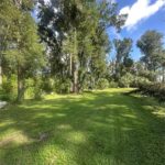 Property photo for land for sale in Levy County Florida