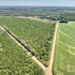 Property photo for land for sale in Geneva County Alabama