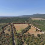 Property photo for land for sale in Scott County Arkansas