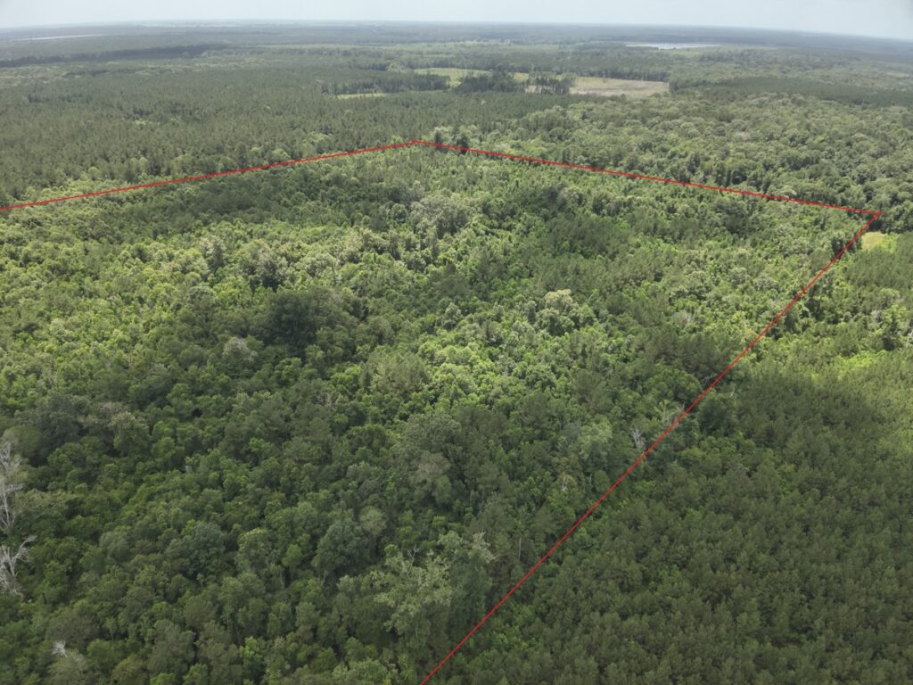 Property photo for land for sale in Evangeline County Louisiana