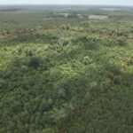 Property photo for land for sale in Evangeline County Louisiana