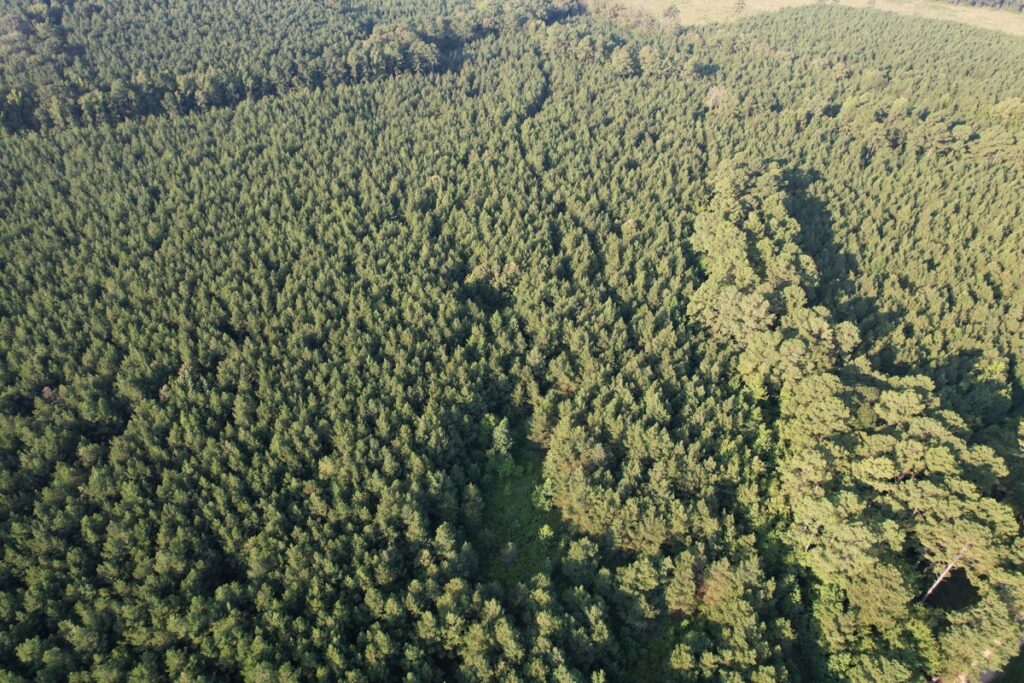 Property photo for land for sale in Bradley County Arkansas