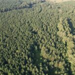 Property photo for land for sale in Bradley County Arkansas