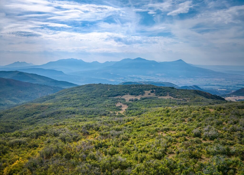 Property photo for land for sale in Delta County Colorado