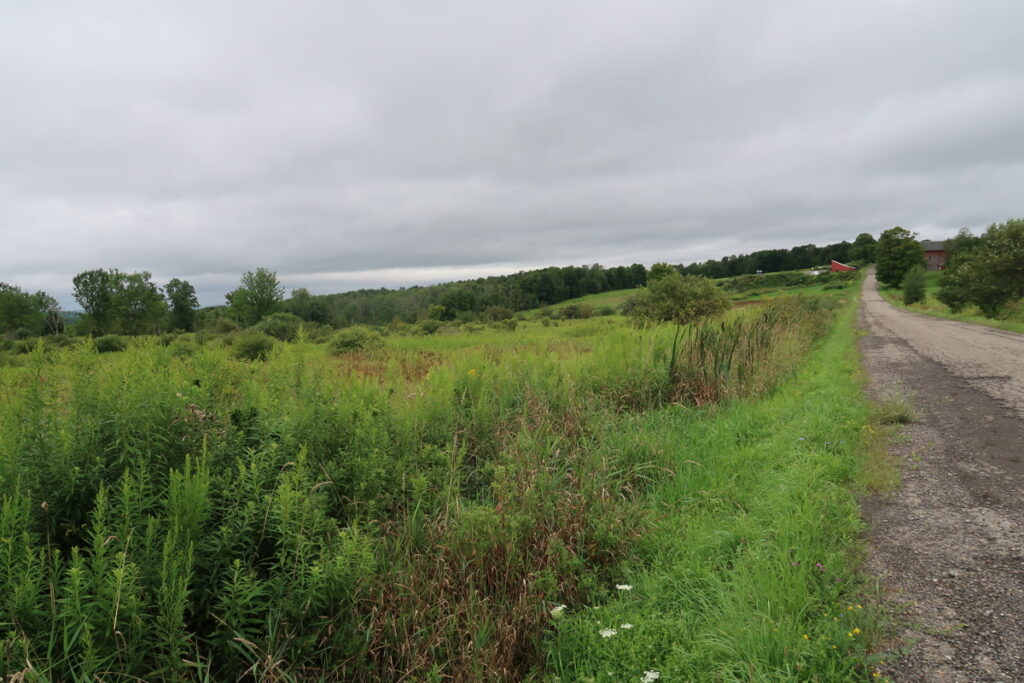 Property photo for land for sale in Cortland County New York