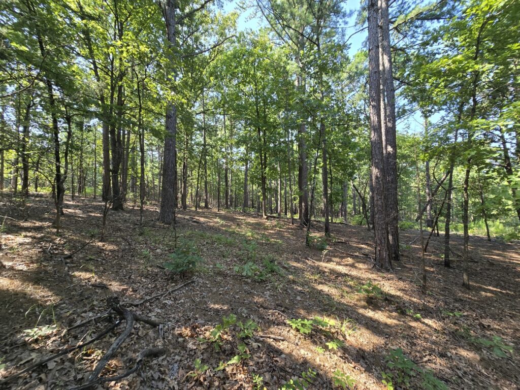 Property photo for land for sale in Le Flore County Oklahoma