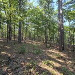 Property photo for land for sale in Le Flore County Oklahoma