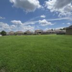 Property photo for land for sale in Pike County Alabama