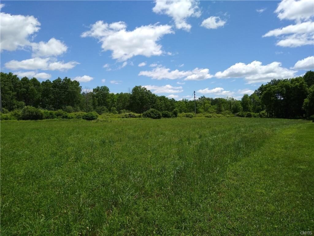 Property photo for land for sale in Madison County New York