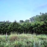 Property photo for land for sale in Woods County Oklahoma