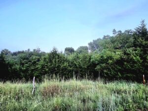 Property photo for land for sale in Woods County Oklahoma