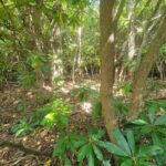 Property photo for land for sale in Patrick County Virginia