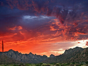 Property photo for land for sale in Cochise County Arizona