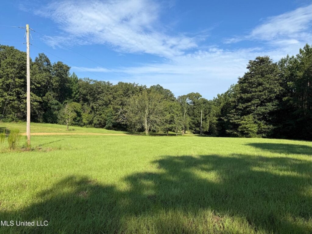 Property photo for land for sale in Pike County Mississippi