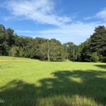 Property photo for land for sale in Pike County Mississippi
