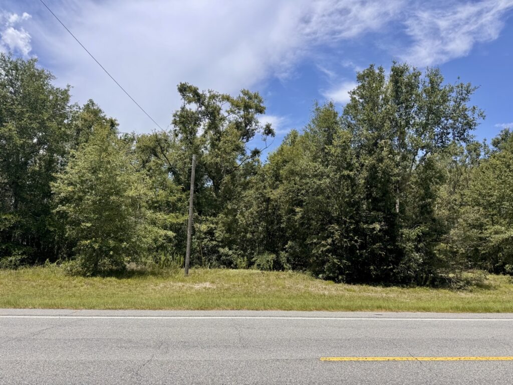 Property photo for land for sale in Hamilton County Florida