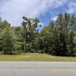 Property photo for land for sale in Hamilton County Florida