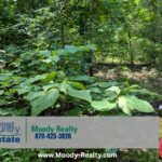 Property photo for land for sale in Fulton County Arkansas