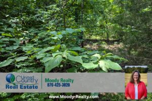 Property photo for land for sale in Fulton County Arkansas