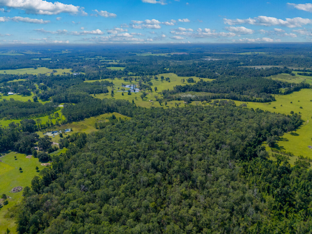 Property photo for land for sale in Madison County Florida