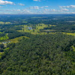 Property photo for land for sale in Madison County Florida