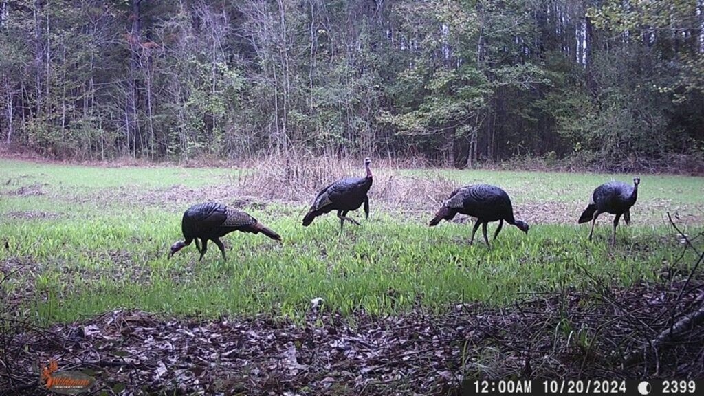 Property photo for land for sale in Catahoula County Louisiana