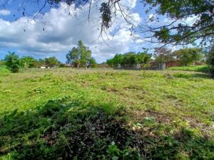 Property photo for land for sale in  County Panama