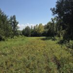 Property photo for land for sale in McCurtain County Oklahoma